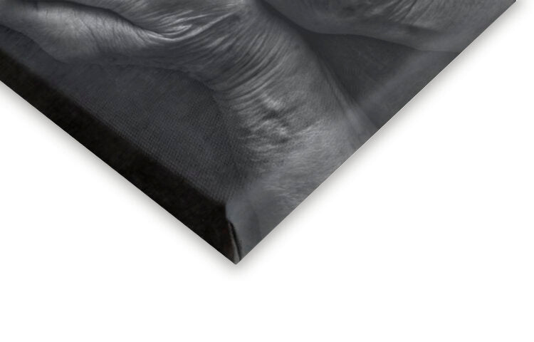 Leinwand Poster, Bilder Tempus fugit, Stephen Clough, 40 × 60 cm