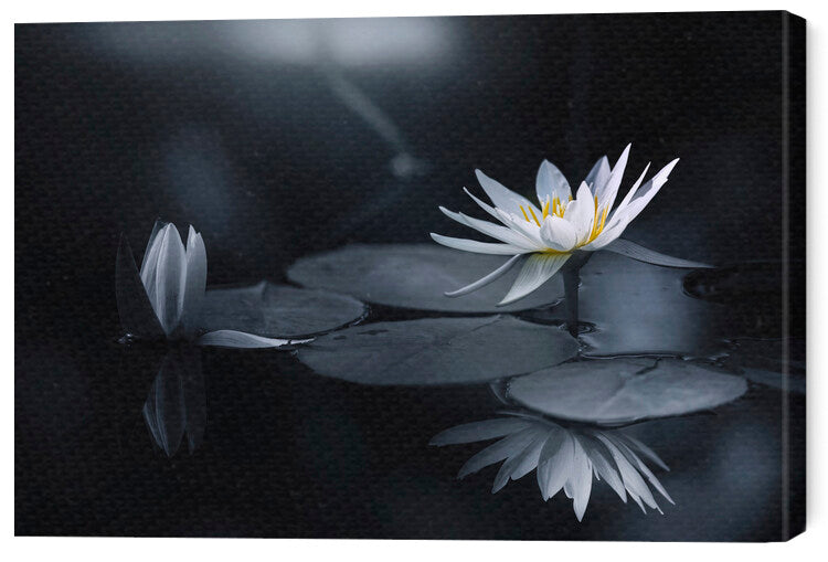Leinwand Poster, Bilder Reflection, Takashi Suzuki, 60 × 40 cm