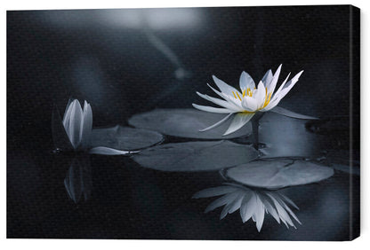 Leinwand Poster, Bilder Reflection, Takashi Suzuki, 60 × 40 cm