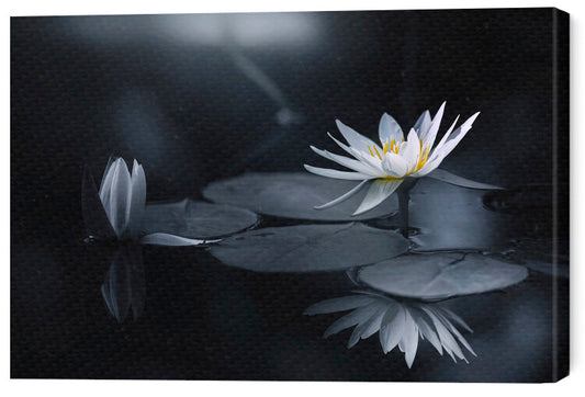 Leinwand Poster, Bilder Reflection, Takashi Suzuki, 60 × 40 cm