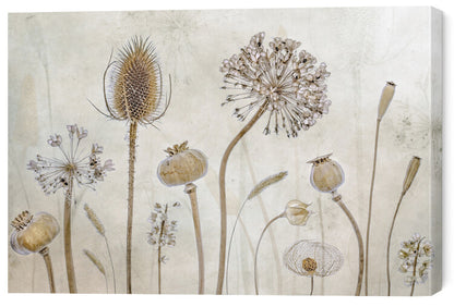 Leinwand Poster, Bilder Growing old, Mandy Disher, 60 × 40 cm