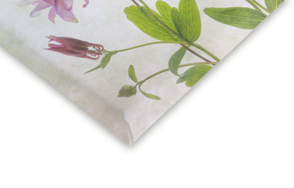 Leinwand Poster, Bilder Columbine, Mandy Disher, 60 × 40 cm