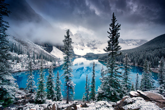 Leinwand Poster, Bilder Morning blues, Trevor Cole, 90 × 60 cm