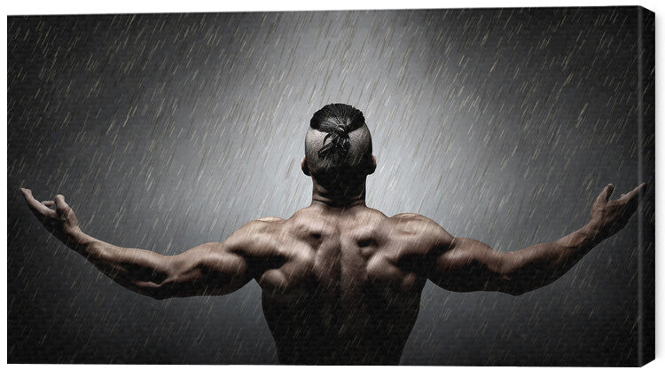 Leinwand Poster, Bilder Igor in the Rain III, DDiArte, 60 × 35 cm
