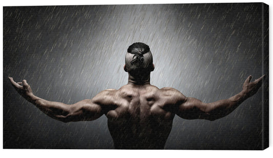 Leinwand Poster, Bilder Igor in the Rain III, DDiArte, 60 × 35 cm