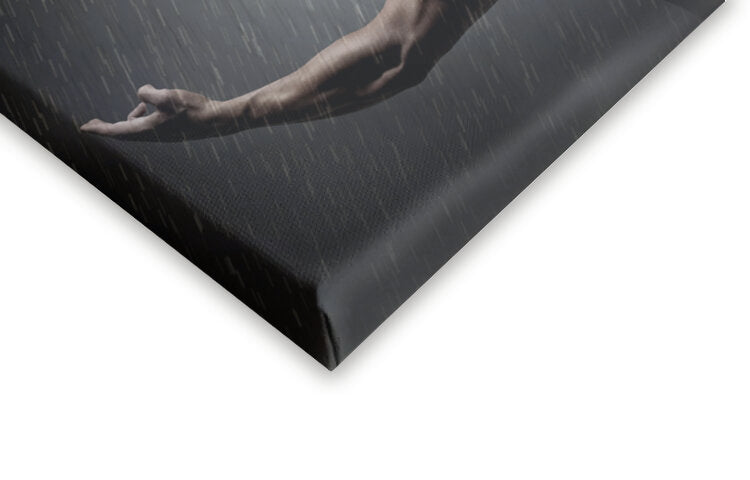 Leinwand Poster, Bilder Igor in the Rain III, DDiArte, 60 × 35 cm