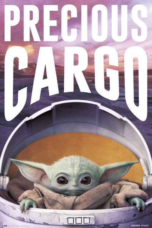 Star Wars: The Mandalorian - Precious Cargo Poster, Plakat, 61 × 91.5 cm