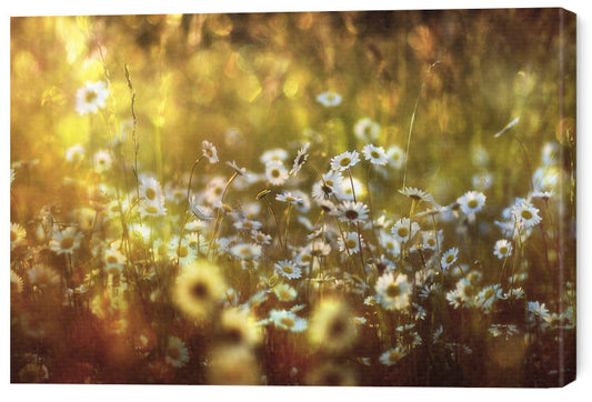Leinwand Poster, Bilder Wonderland, Stefan Eisele, 60 × 40 cm