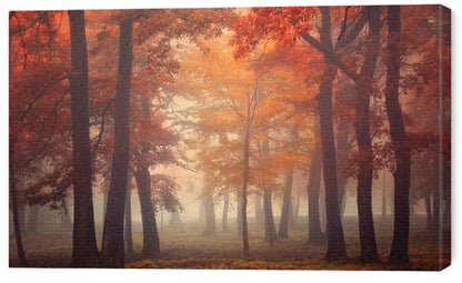 Leinwand Poster, Bilder Feel, Ildiko Neer, 65 × 40 cm