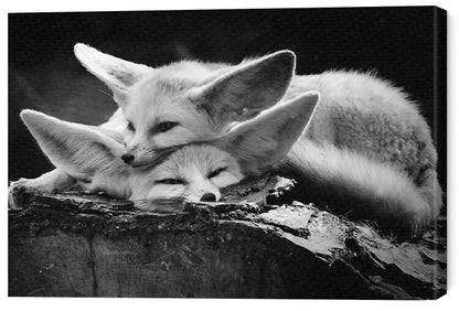 Leinwand Poster, Bilder The happy couple, IB Ross Rossi, 60 × 40 cm