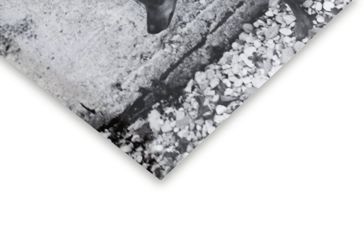 Leinwand Poster, Bilder Piss off !, Christine Frick, 50 × 50 cm