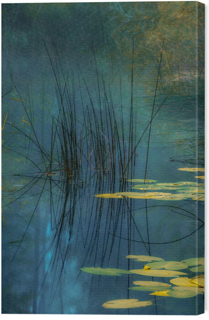Leinwand Poster, Bilder Aqua, Andreas Agazzi, 40 × 60 cm