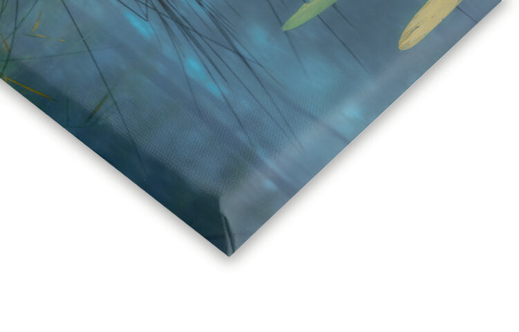 Leinwand Poster, Bilder Aqua, Andreas Agazzi, 40 × 60 cm