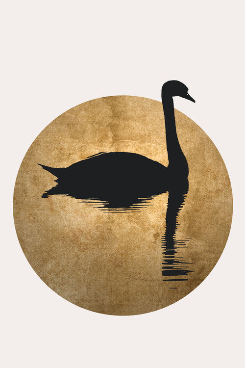 Leinwand Poster, Bilder The Swan, Kubistika, 60 × 90 cm