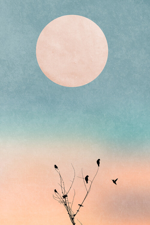 Leinwand Poster, Bilder Waking Up Warm, Kubistika, 60 × 90 cm