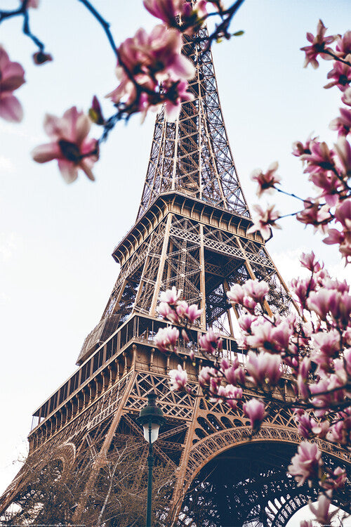 Paris - Eiffelturm Poster, Plakat, 61 × 91.5 cm